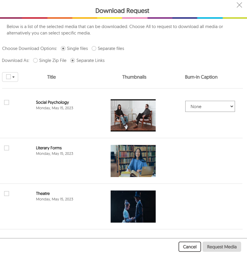 The download request window featuring the selected media content and download options.