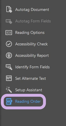 Reading Order is highlighted in the Accessibility menu.