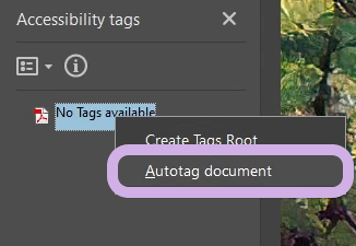 Autotag document is highlighted.