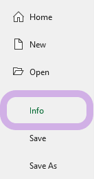 In Excel, Info is highlighted in the File menu.