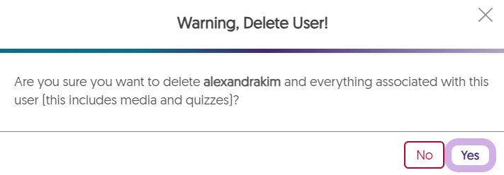 Confirmation message to delete a user. Yes is highlighted.