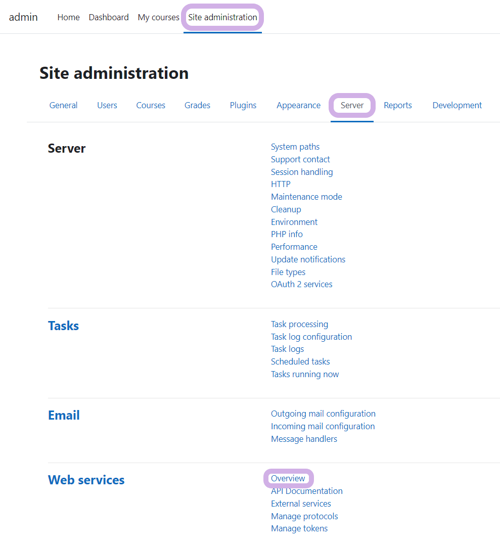 Server page in Site administration. Overview is highlighted.