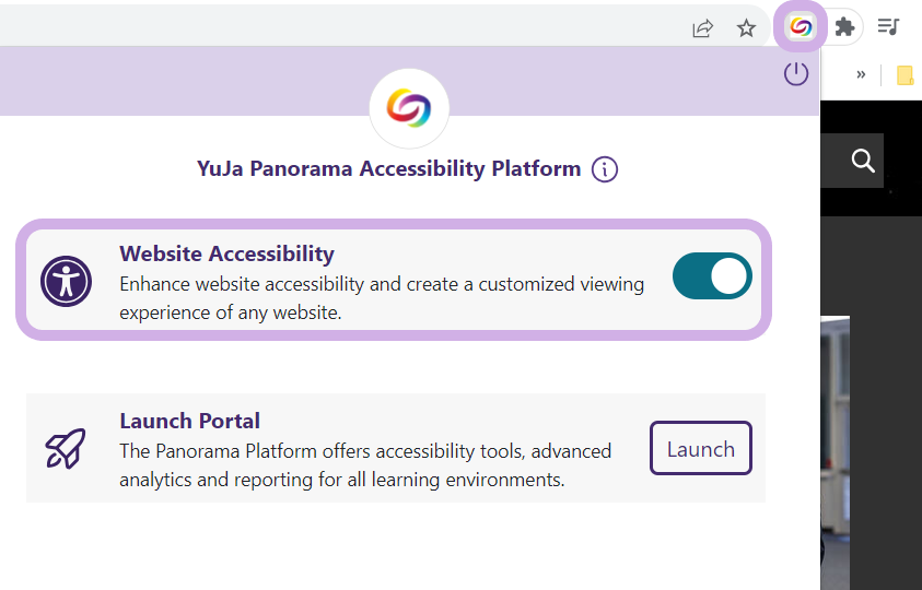 Website Accessibility is selected from the Panorama extension.
