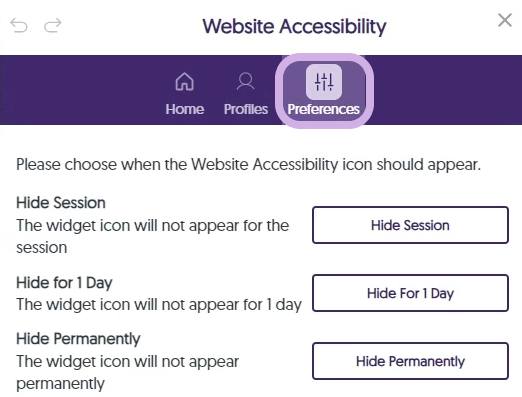 The Preferences tab for the Website Accessibility menu.