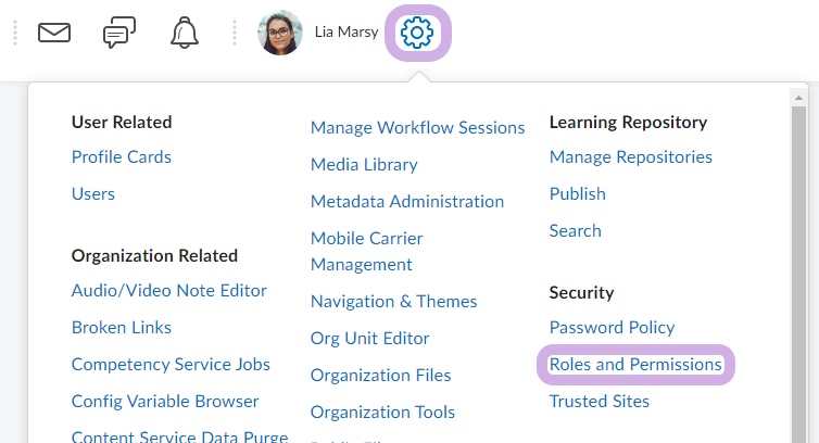 Roles and Permissions is highlighted from the Admin Tool icon.