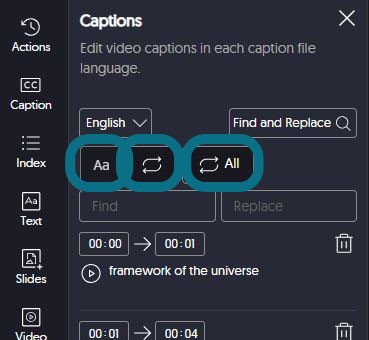 The caption panel with the Aa icon, Replace, and Replace All button highlighted.