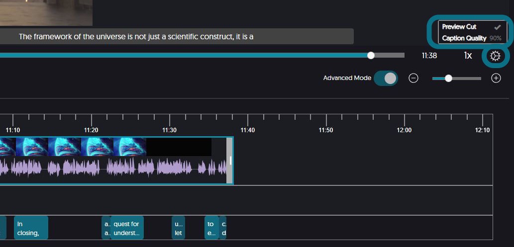 The video editor with Setting icon and Caption Quality option highlighted.