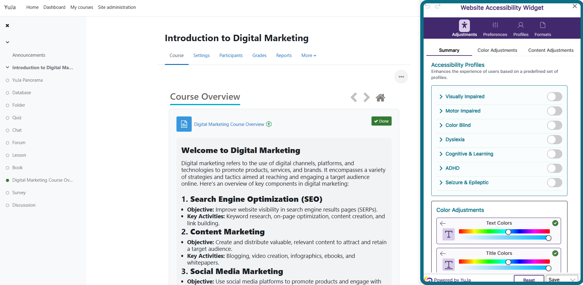 The Moodle course page highlighting the Website Accessibility Widget panel.
