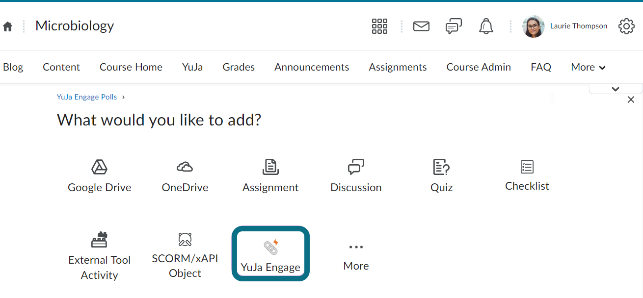 An image of the D2L page highlighting the Activity Chooser window and the Plus button.