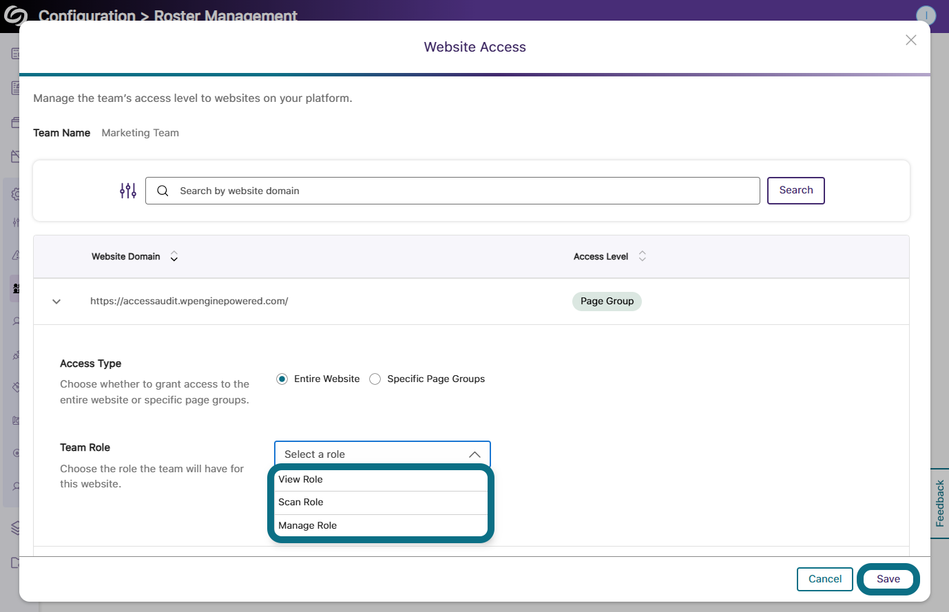 The website access window highlighting the team role options.
