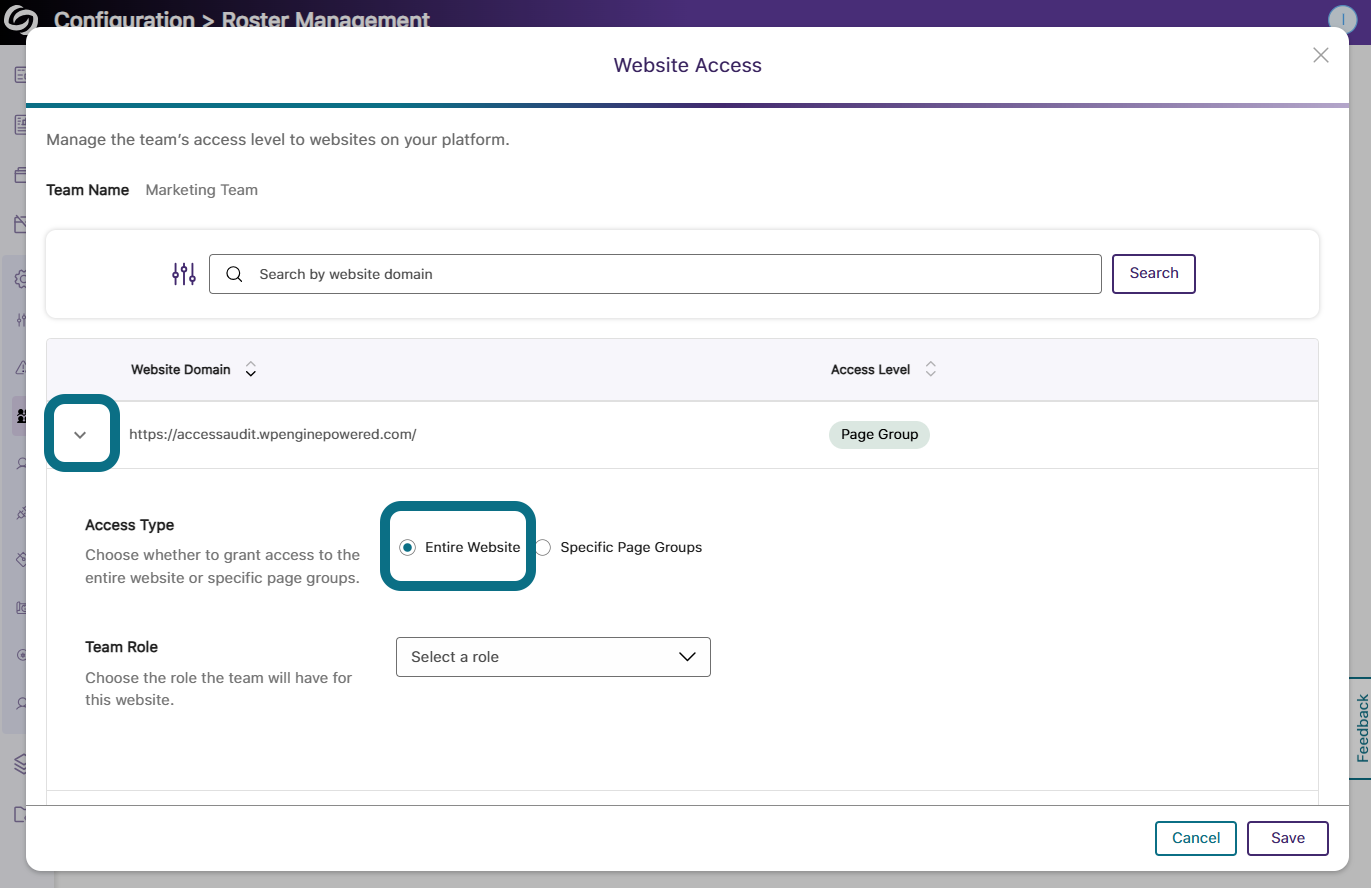 The website access window highlighting the selected website domain and the entire website option in access type.
