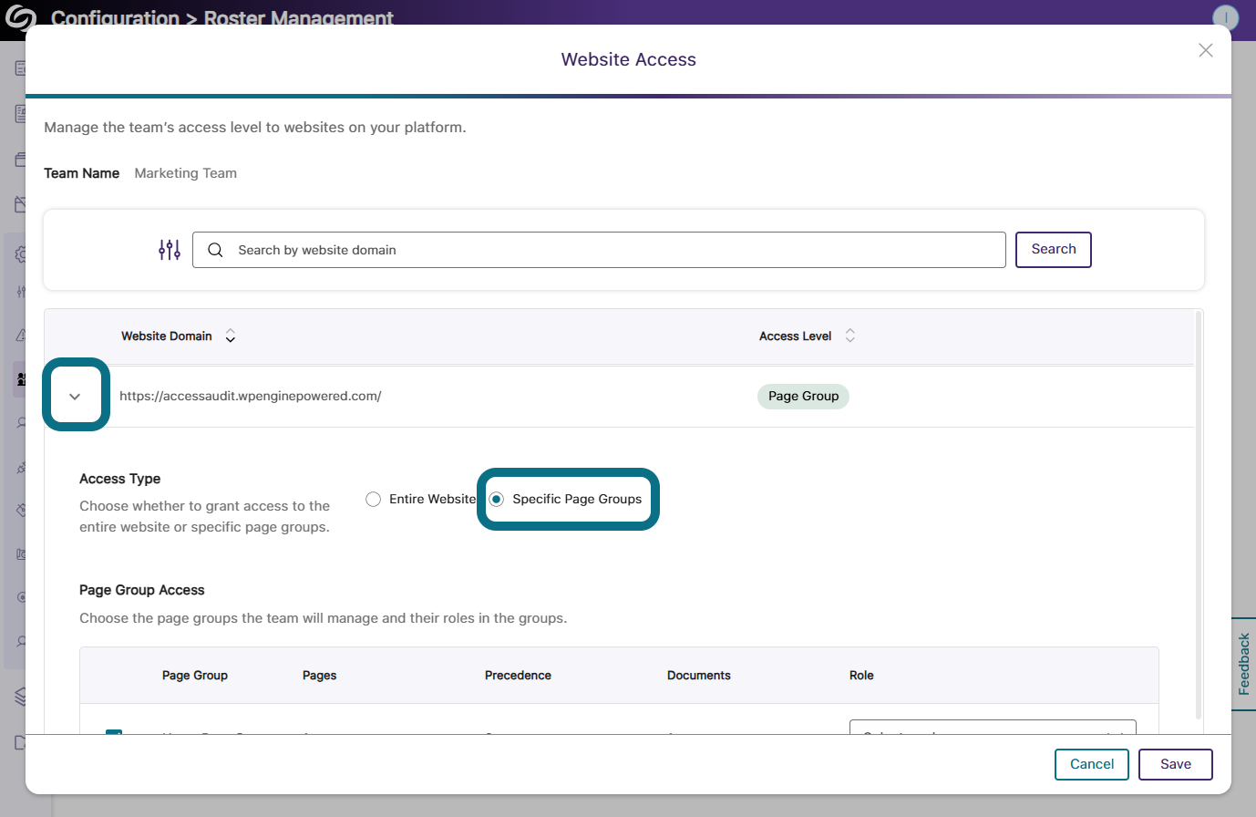 The website access window highlighting the selected website domain and the specific page groups option in access type.