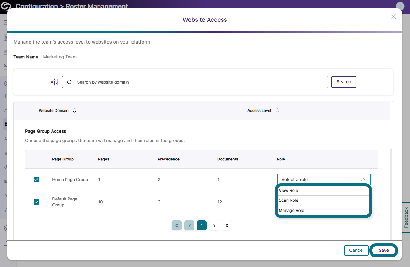 The website access window highlighting the team role options.