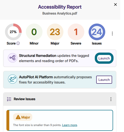 An image showing the Launch button in the Accessibility Report.