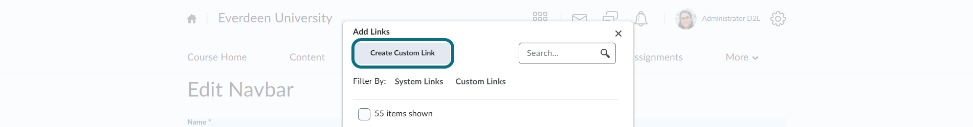 D2L Brightspace add Custom Link