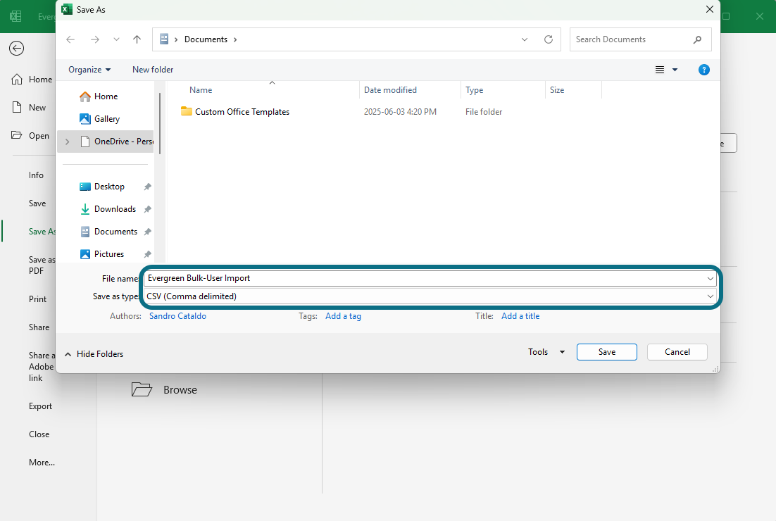 Excel with title and Save as type circled