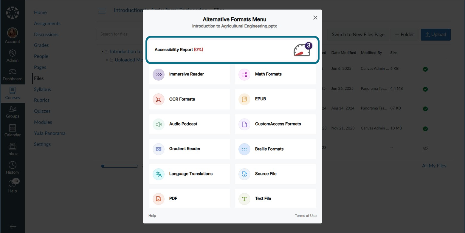alternative format menu with the Accessibility report highlighted.