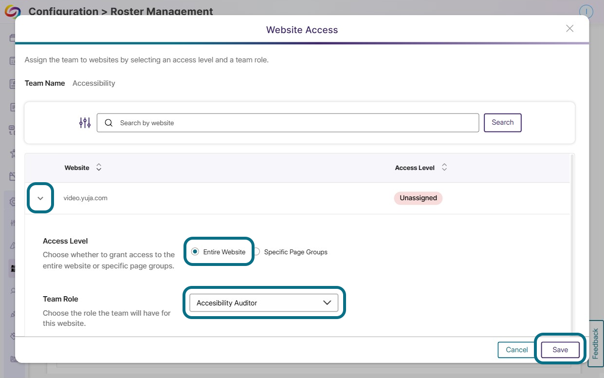 The Access Level and Team Role options display after expanding the website.