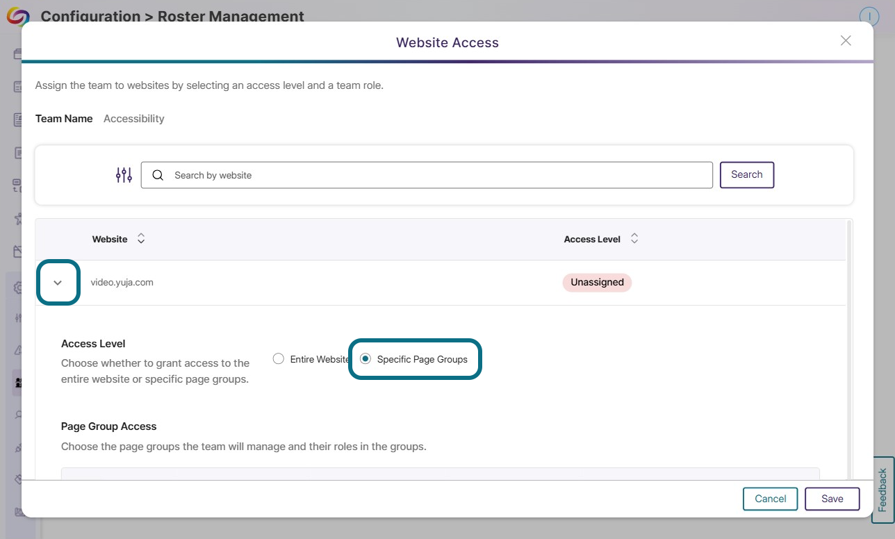 Selecting specific page group for the access level.