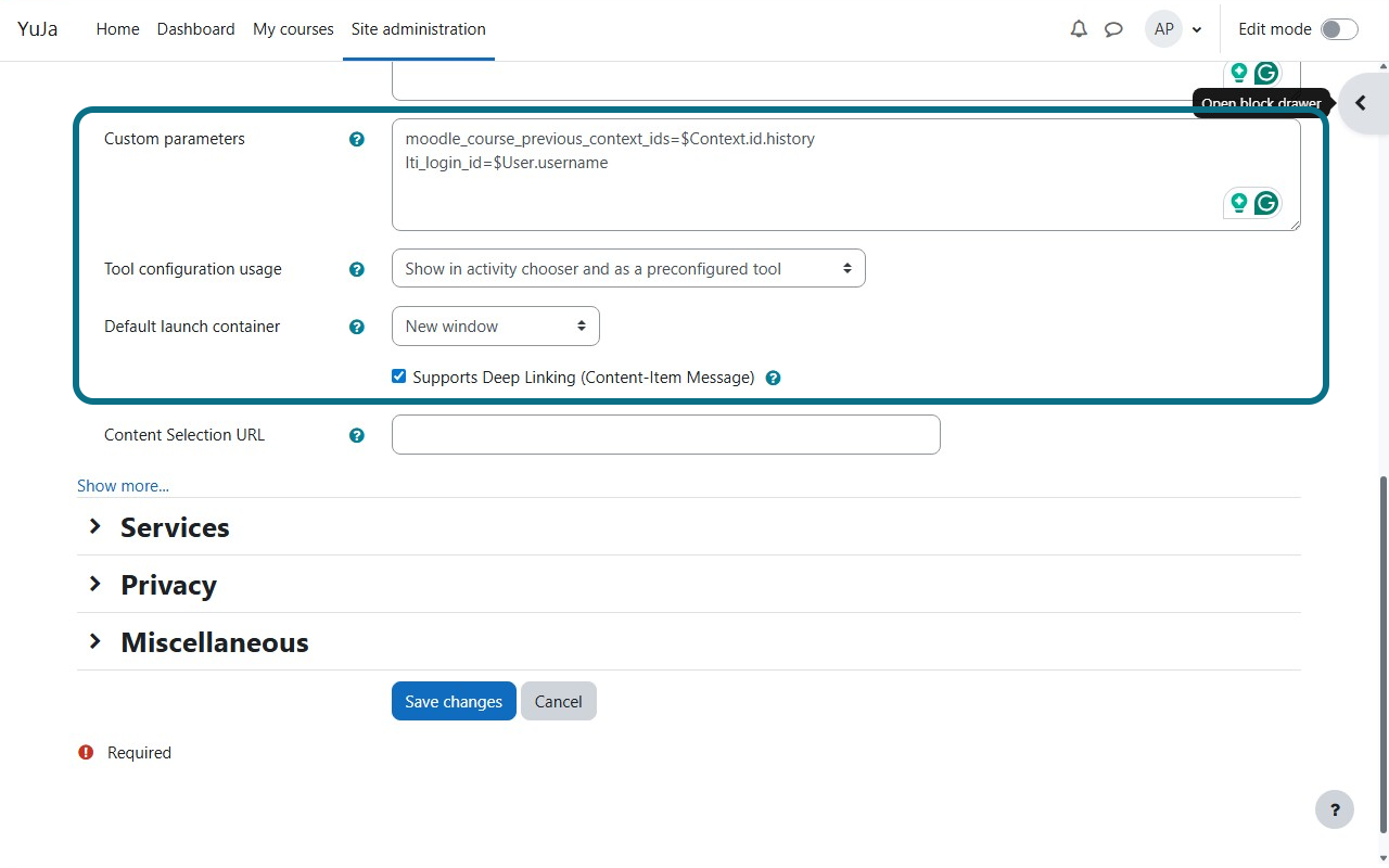 The custom parameters, tool configuration usage, and default launch container fields under Tool settings section.