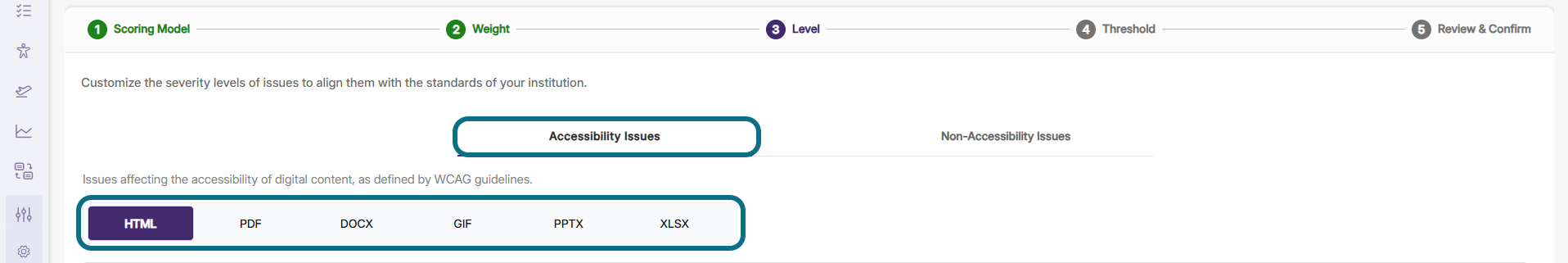 Panorama scoring model custom level page with accessibility issues tab and format type circled