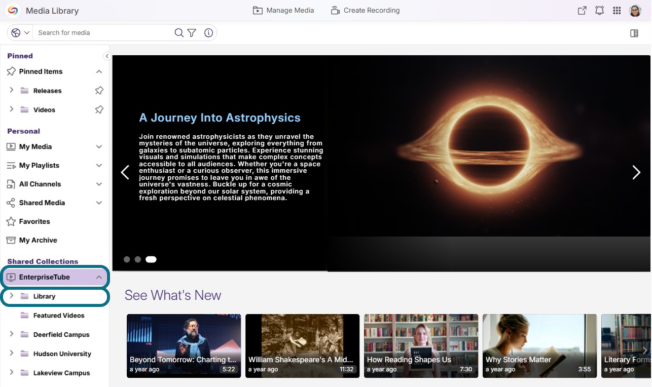 Lumina enterprisetube page with enterprisetube and library tabs circled