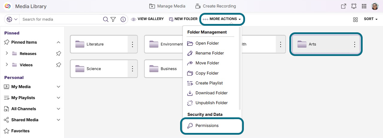Lumina enterprisetube page with more actions button and permissions buttons circled