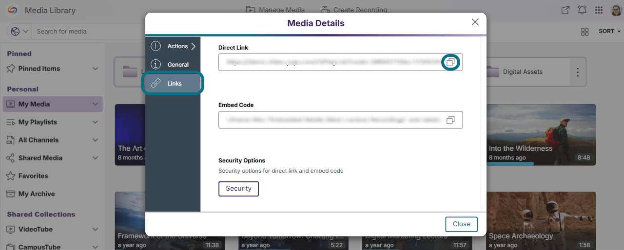 Lumina media details with links button and copy button circled
