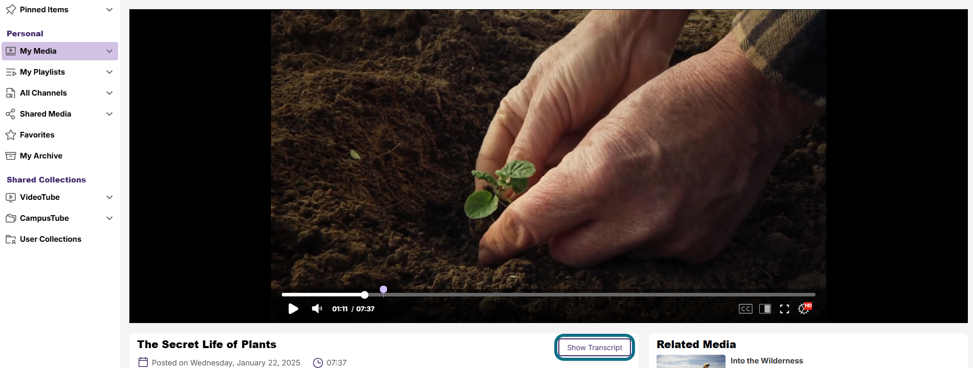 Lumina media player with show transcript button circled