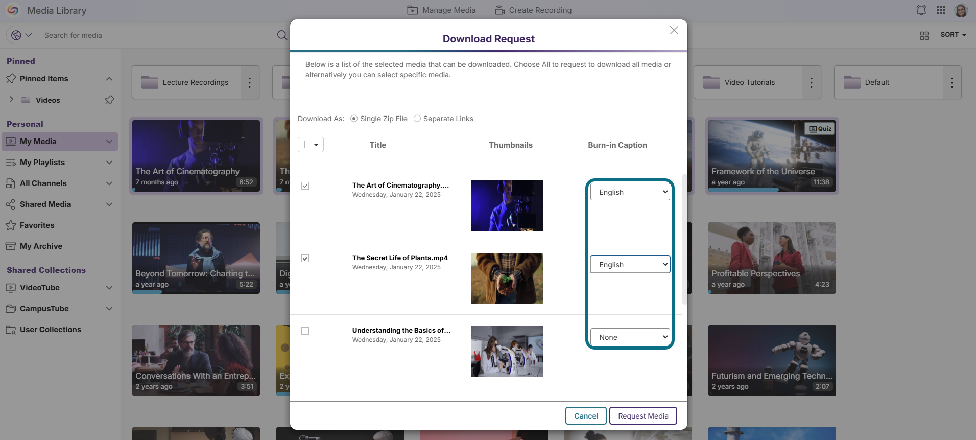 Lumina select caption options