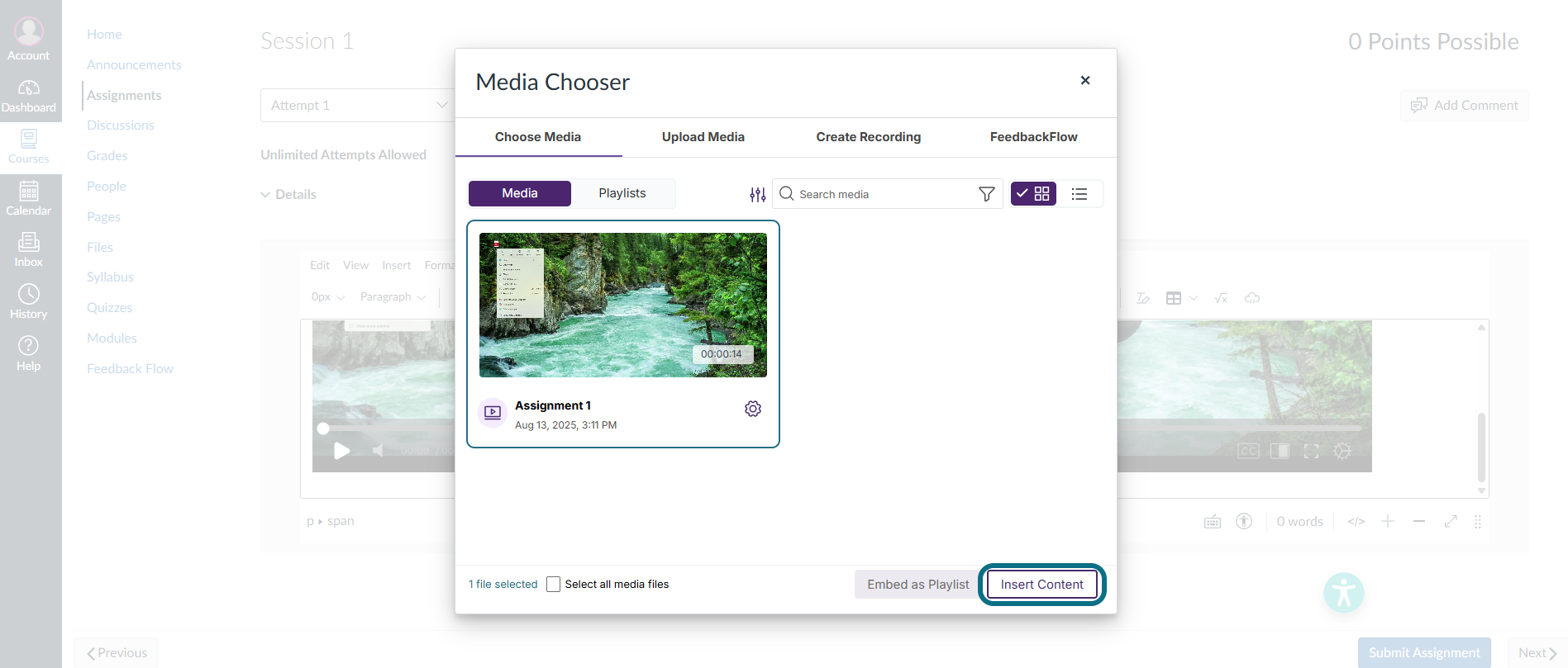 Canvas select your media and insert