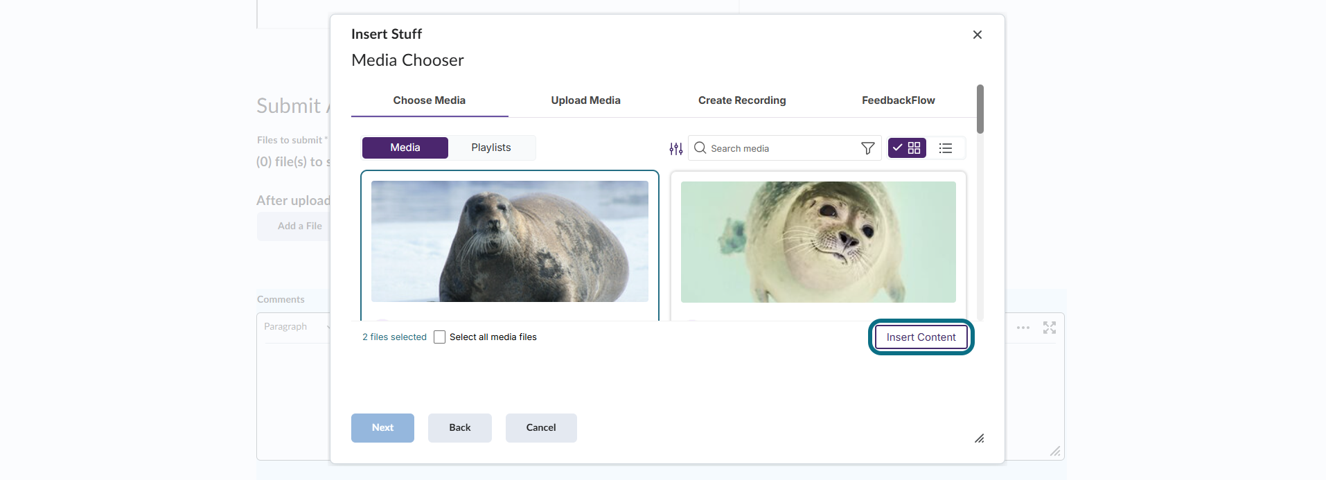 D2L Brightspace insert content into assignment