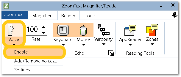 zoom text disable speech on startup