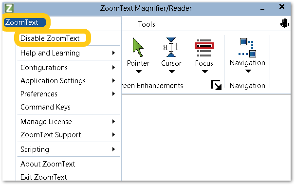 zoomtext 10 to open automatically on startup