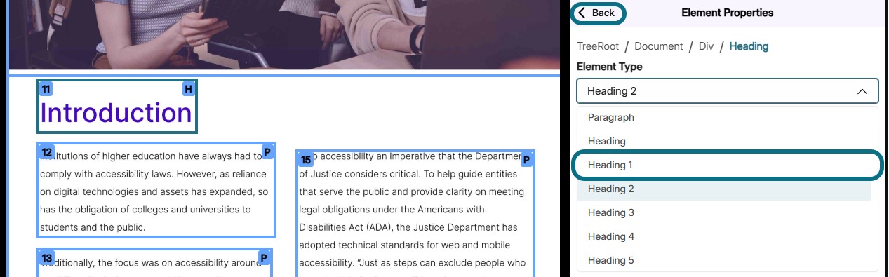 Panorama Structural Remediation with Element Type field heading 1 circled