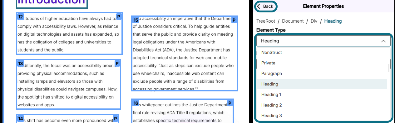 Panorama Structural Remediation with Element Type field and back button circled