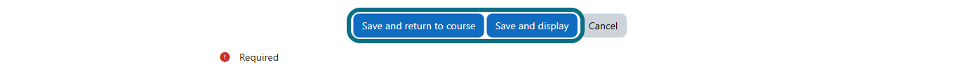 New external tool page with save and return to course and save and display buttons circled