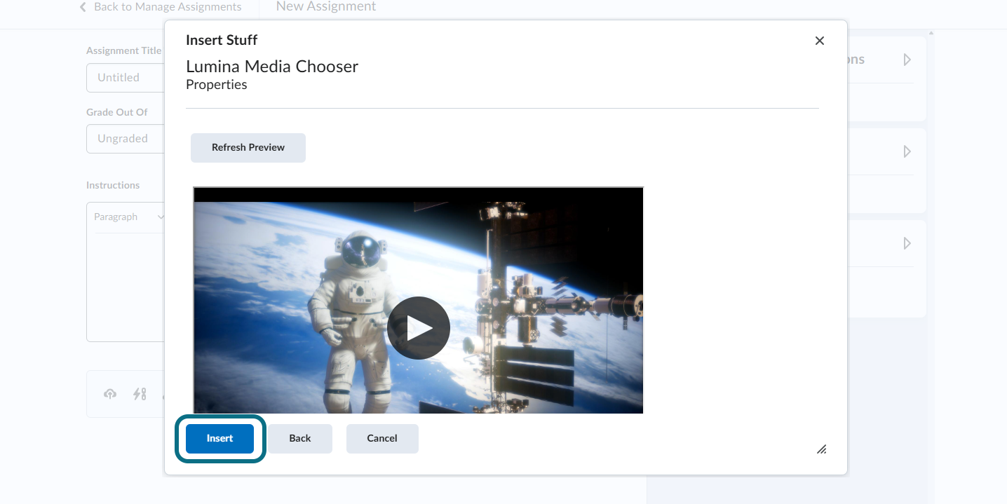 Clicking Insert in the media preview page
