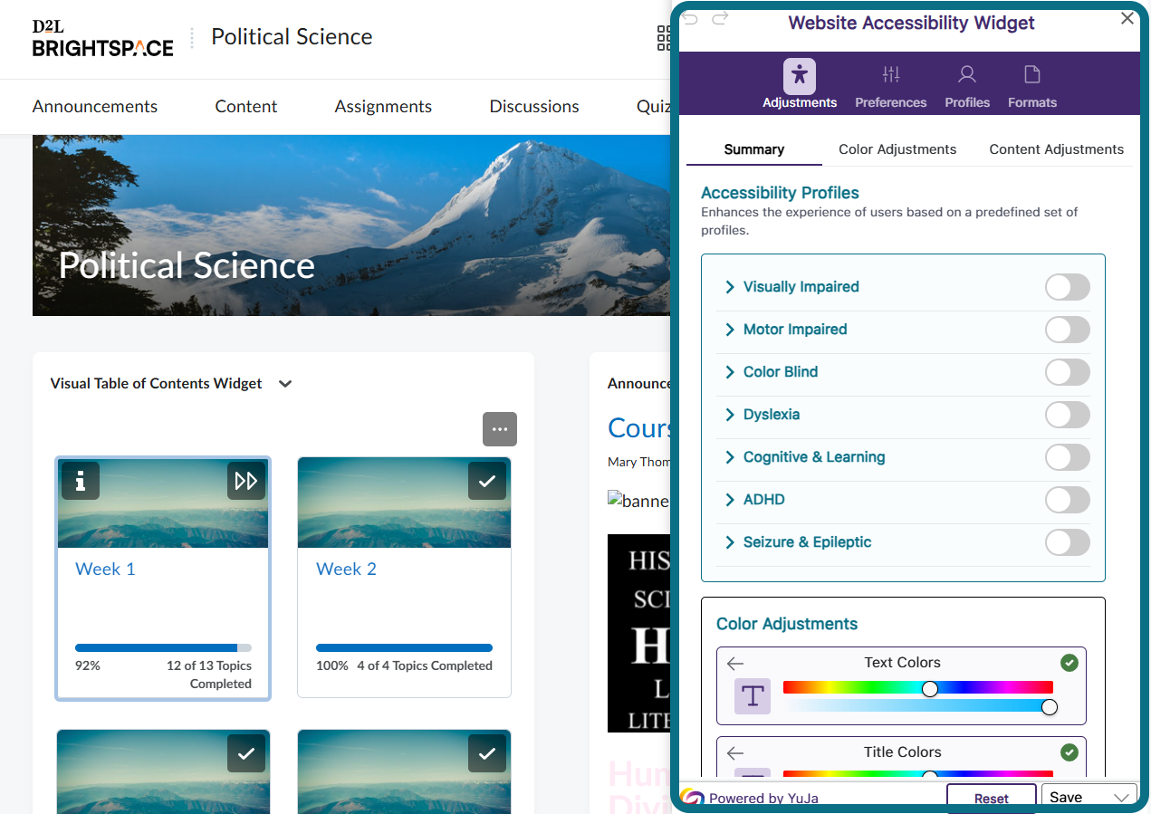 La page de cours D2L avec le panneau du widget d'accessibilité du site web mis en évidence.