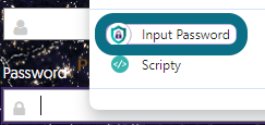 Image du menu du clic droit montrant l'option permettant d'insérer le mot de passe.