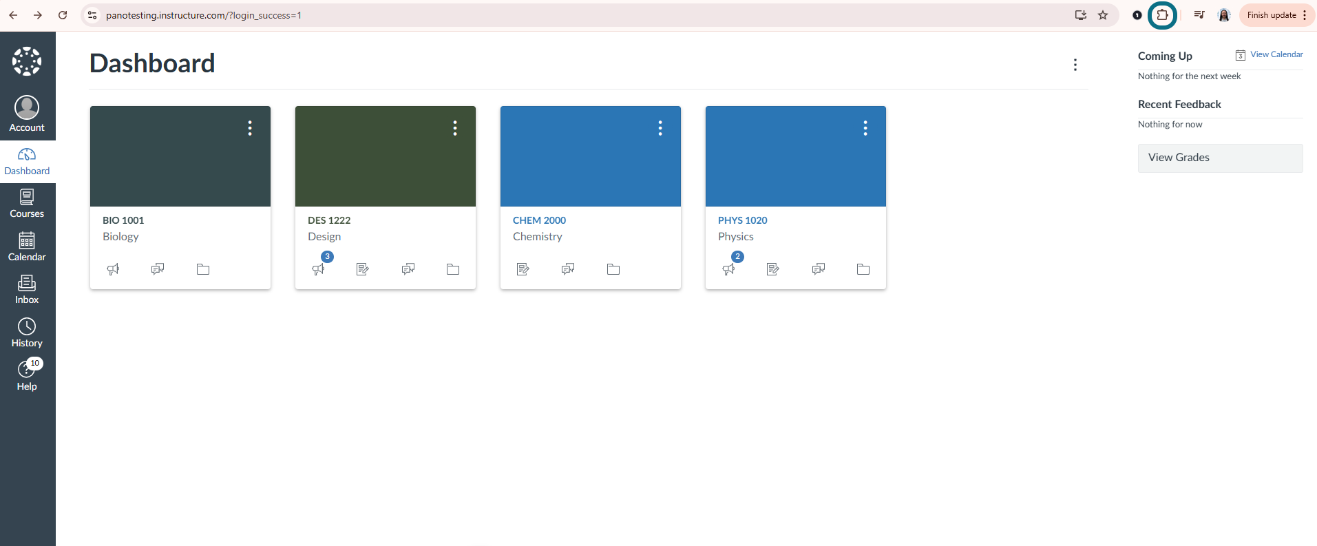 Icône des extensions Chrome