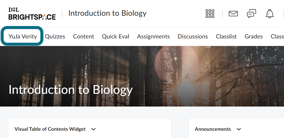  Image d'une page de cours dans D2L Brightspace mettant en évidence l'application LTI Verity dans la barre de navigation.