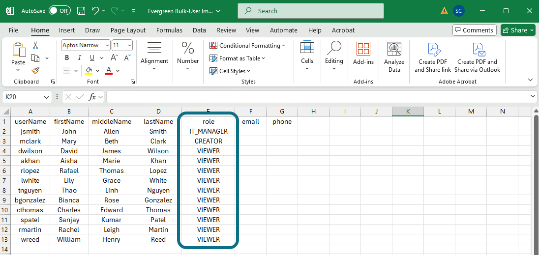 Excel role column