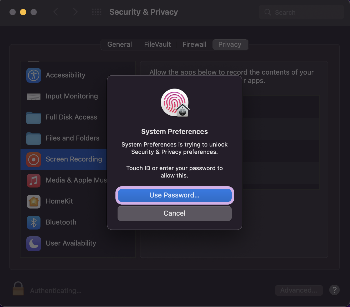 System Preferences security window to access Security & Privacy. Use Password is selected.